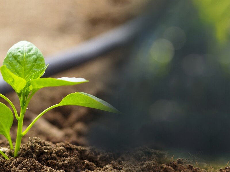 Yeni ürünler envanterimize eklenmiştir.